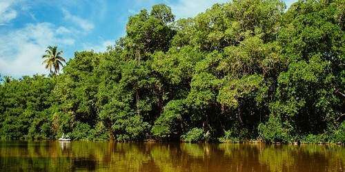 ‘Municipios Verdes’ como respuesta al cambio climático