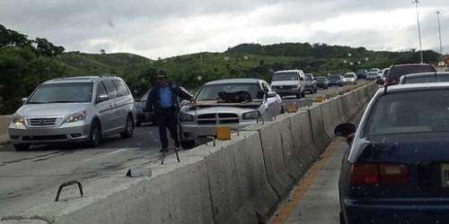 Policía salva a perro en autopista