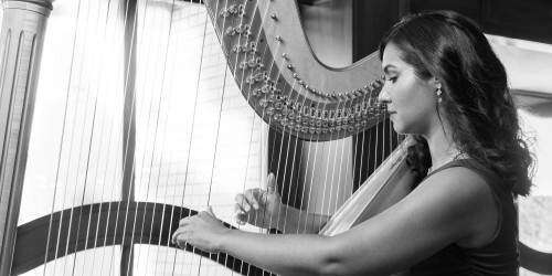 Su arpa es la vela que surca los mares entre Boston y Puerto Rico