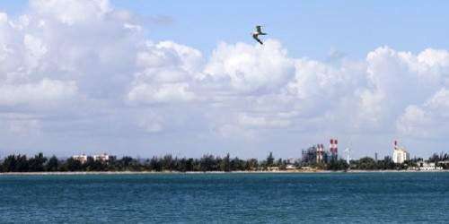 Se espera que el tiempo mejore durante la mañana y la tarde