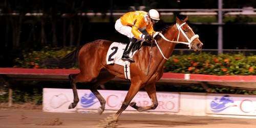 Hipismo: Continúa invicto Toñito M.