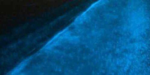 Reduce la bioluminiscencia en la Bahía Mosquito de Vieques