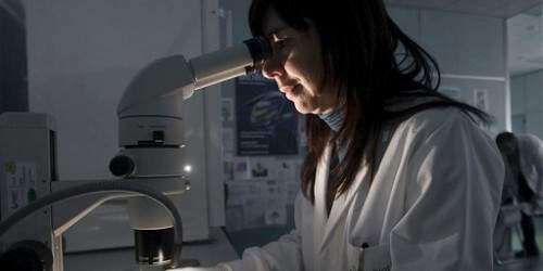 Científicos crean contenedores portátiles para células madre