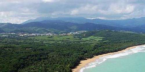 Radican proyecto para eliminar 41 agencias gubernamentales