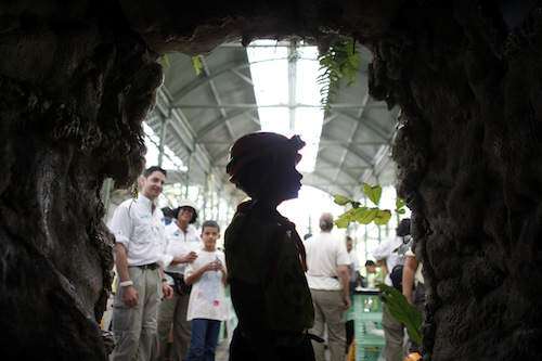 Feria Para La Naturaleza reúne a más de 4 mil asistentes