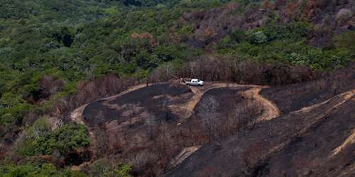 Todo listo para reforestar el Bosque del Pueblo
