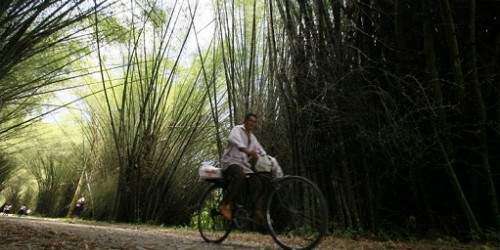 Acuerdan 150 países aportar $4,400 millones a fondo ambiental