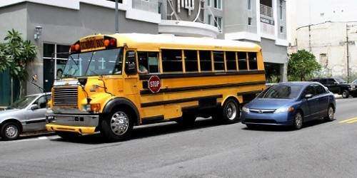 Subastas para transportación escolar en Bayamón son nulas, dice Apelativo (