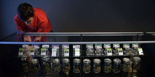 Cannabis en Oregón: una industria camino al mercado de valores (vídeo y gal