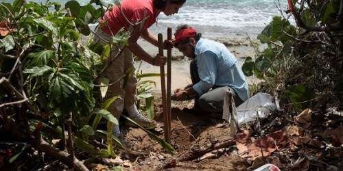 ICP y Para la Naturaleza suman esfuerzos en proyecto de investigación arque