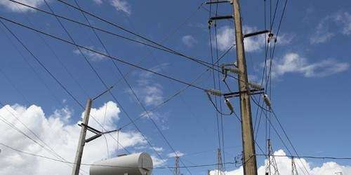 Muere electrocutado mientras desenganchaba aguacates