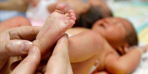 Confirman muerte de neonato contagiado con chikungunya