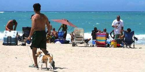 Turismo creció en 2013 por primera vez en cinco años