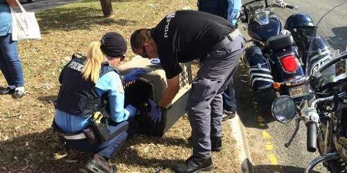 Motociclistas de la Policía rescatan a perrito