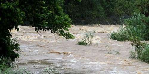 Rescatan personas atrapadas en río de Arecibo
