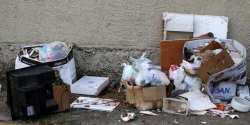 Voluntarios recogen 5,000 libras de basura del Monumento al Jíbaro