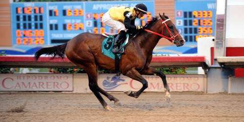 De Papabryan el clásico hípico Muñoz Rivera Memorial