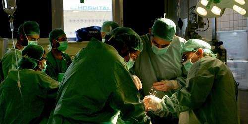 Realizan el primer trasplante de riñón vía vaginal