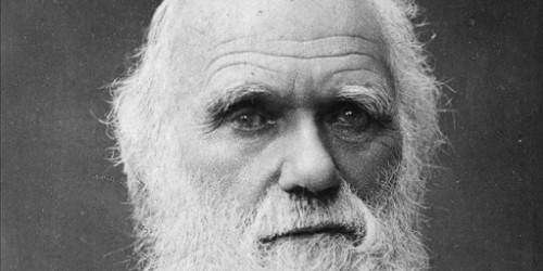 Subastarán carta de Darwin en la que deja claro que no cree en la Biblia