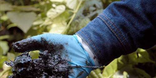 Demandantes de Chevron esperan un juicio rápido en Canadá