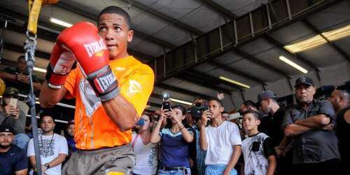 Es oficial: Verdejo regresa al ring a finales de octubre (galería)