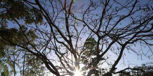 Lluvias para el sur de la Isla