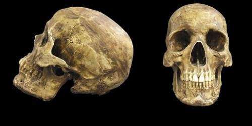 Pescador halla cráneo humano flotando en río de Mayagüez