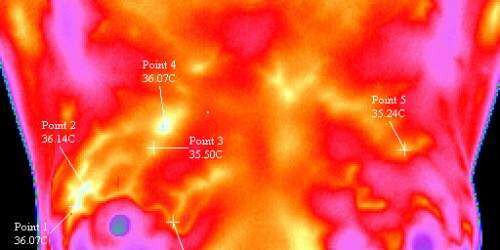 Recomiendan mamografías a edades más adultas