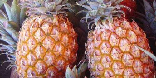 Las piñas llegaron a costar $8,000