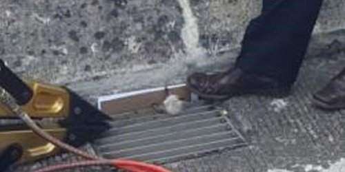 Rescatan gatito en Hato Rey