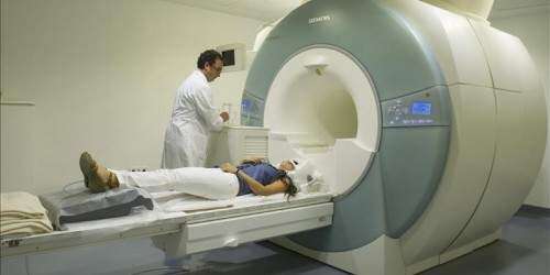 Científicos niegan un cerebro masculino o femenino