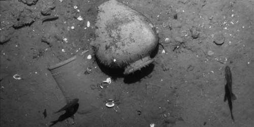 Hallan galeón español con tesoros por $5,000 millones