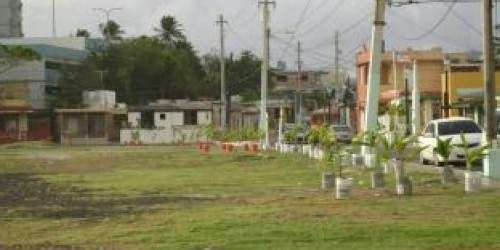 Grave sujeto que chocó con palmas en Añasco