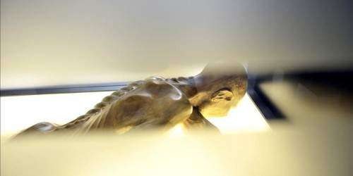 Hallazgo de bacteria estomacal en momia replantea el Neolítico