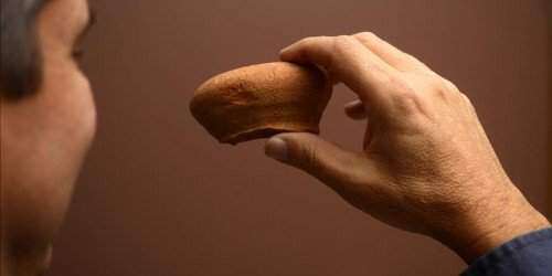 Hallan restos del primer asentamiento español en EE.UU.