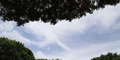 Aguaceros limitados por la tarde