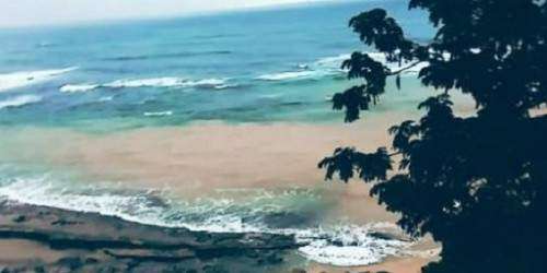 Denuncian desprendimiento de suelo en Paseo Lineal en Puerta de Tierra (víd