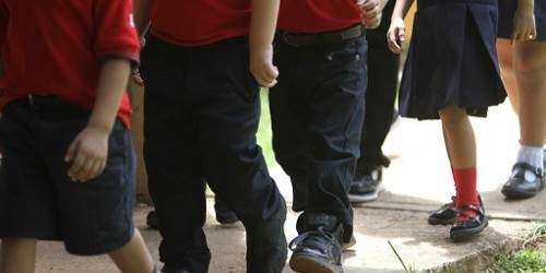 Tribunal ordena al DE evidenciar pago a proveedores