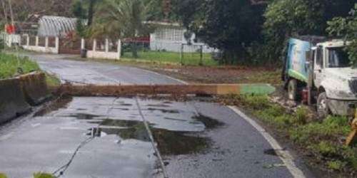 Cierran PR-191 de Río Grande por poste caído por accidente
