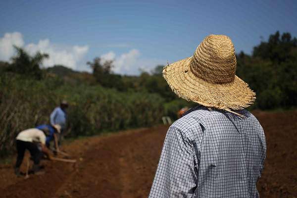 Ian Pagán siembra la tierra para cosechar un país (video y galeria)