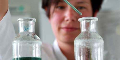Descubren una bacteria que descompone el plástico