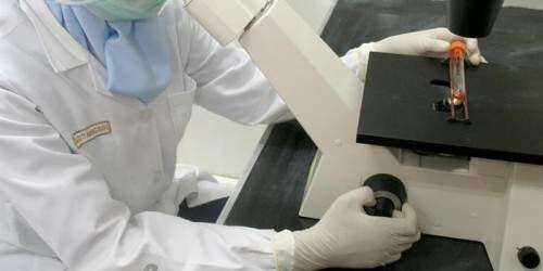 Publicarán atlas de malformaciones humanas