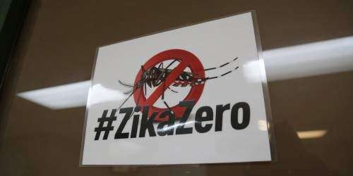 Millonaria inyección federal para combatir el zika