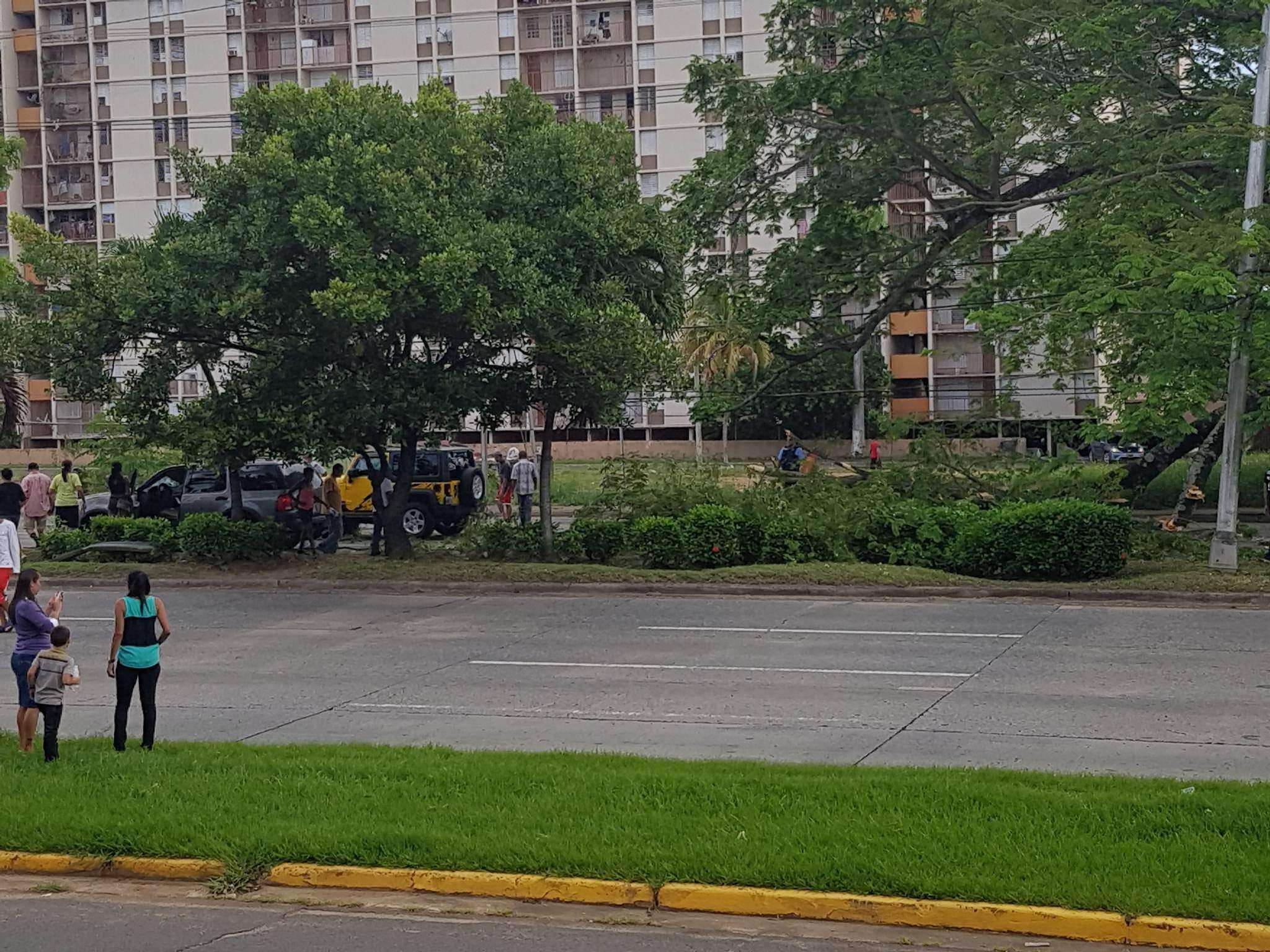 Enorme rama provoca accidente en la 65 de Infantería (galería)