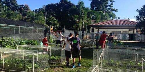 EPA premia huerto de Capetillo