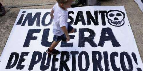Puerto Rico se une a la cuarta marcha mundial contra Monsanto