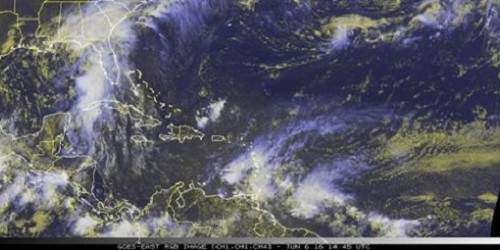 Colin azota con lluvia y vientos la costa oeste de Florida