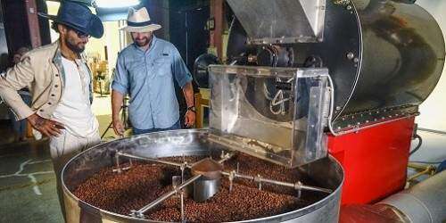 Un sorbo de café Draco Rosa (galería)