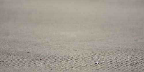 Hieren de bala a un niño en Cayey