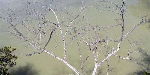 EE.UU. y Cuba buscan mejorar la protección de las áreas marinas